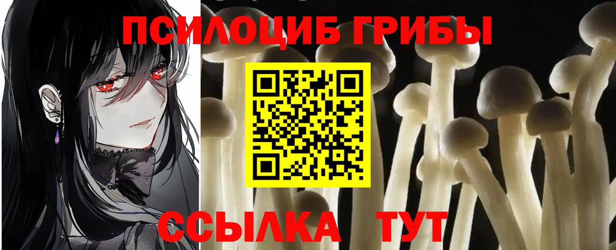 Галлюциногенные грибы Psilocybe  Псилоцибиновые грибы прущие грибы  Переславль-Залесский  Вход с VPN 