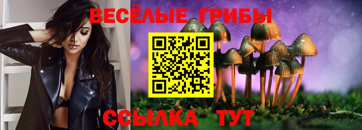 Галлюциногенные грибы мицелий Переславль-Залесский
